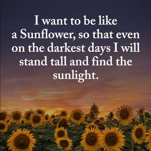 Meet your Posher, Anna marie